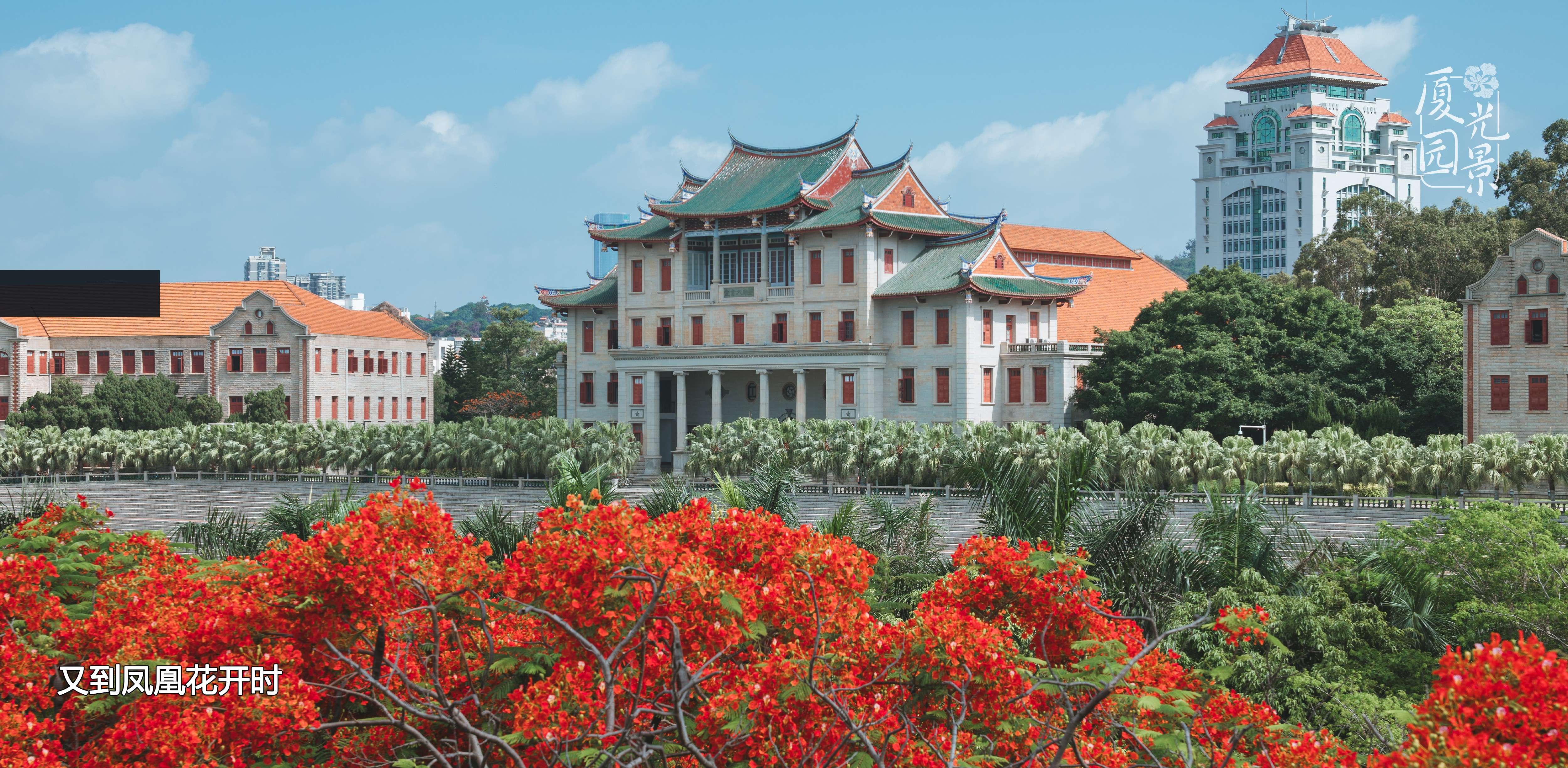 厦门大学嘉庚建筑与凤凰花校园景观